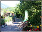 foto Giardini Trauttmansdorff - Boschi del Mondo